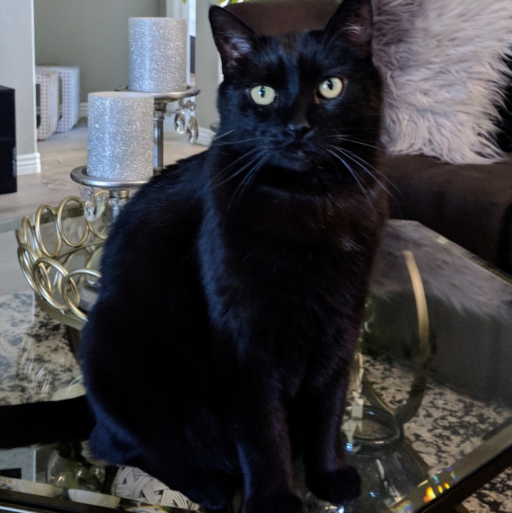 Meet your Posher, Julie - POSH AMBASSADOR!